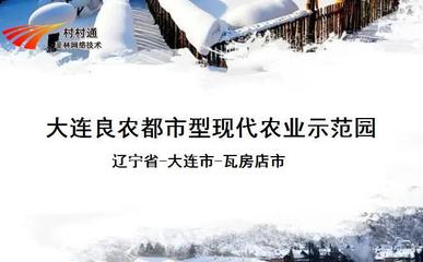 大連良農(nóng)都市型現(xiàn)代農(nóng)業(yè)示范園 網(wǎng)絡(luò)科技驅(qū)動現(xiàn)代農(nóng)業(yè)技術(shù)開發(fā)